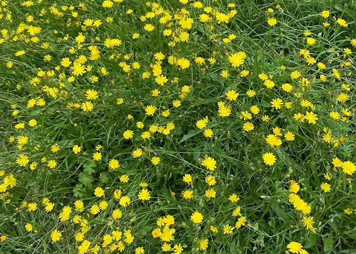 La Planchotte Casa vacanze Peigney